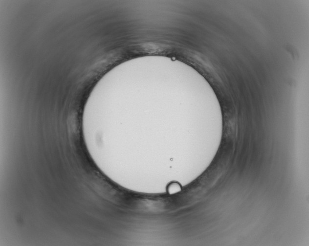 X0000113280317200910131010