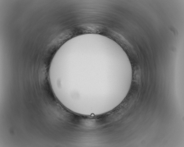 X0000113280318200910131010
