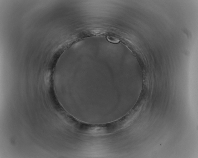 X0000113280319200910131010