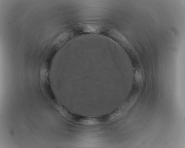 X0000113280322200910131010