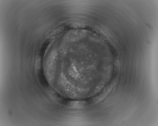 X0000113280323200910131010