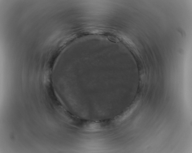 X0000113280325200910131010