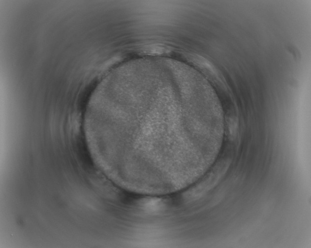 X0000113280326200910131010