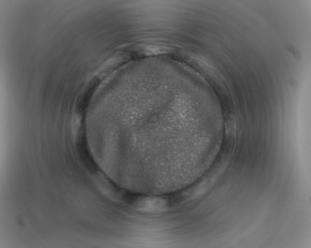 X0000113280327200910131010