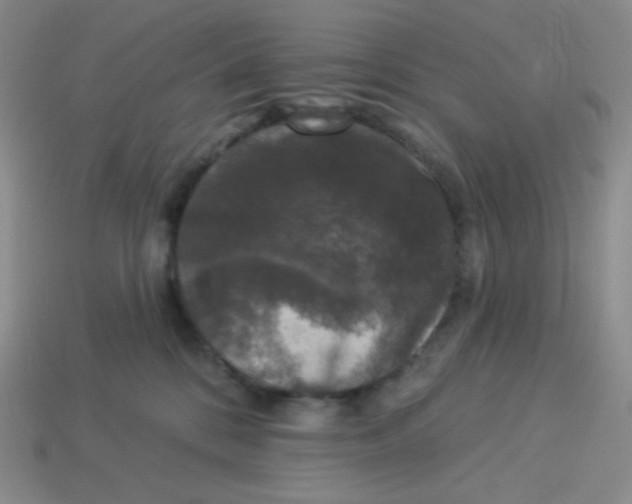 X0000113280328200910131010