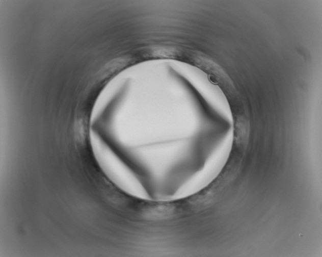 X0000113280329200910131010