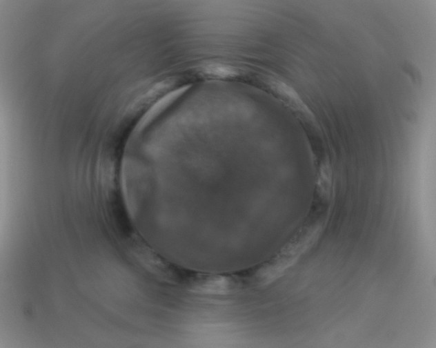 X0000113280330200910131010