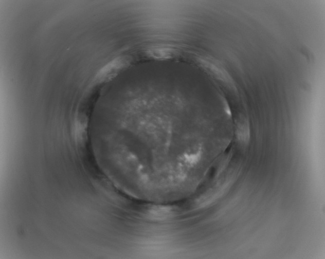 X0000113280332200910131010
