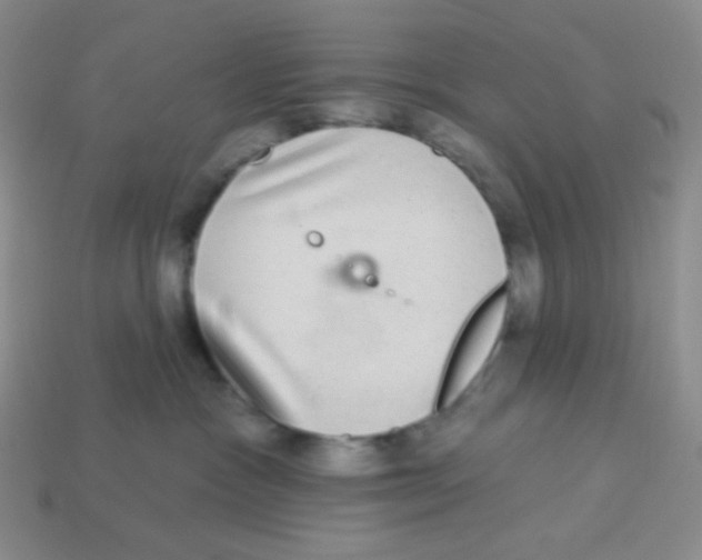 X0000113280333200910131010
