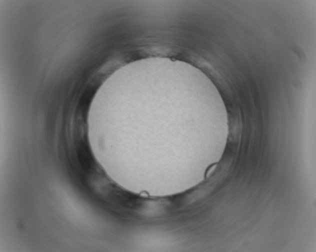 X0000113280334200910131010