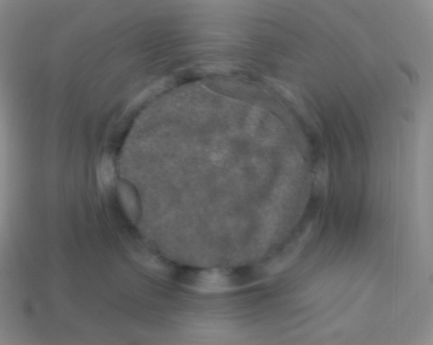 X0000113280335200910131010