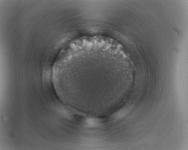 X0000113280336200910131010