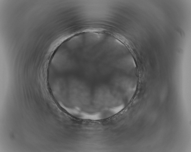 X0000113280337200910131009