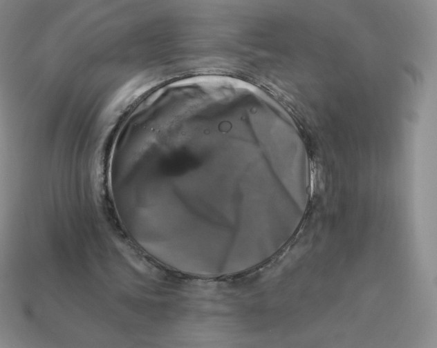 X0000113280339200910131009