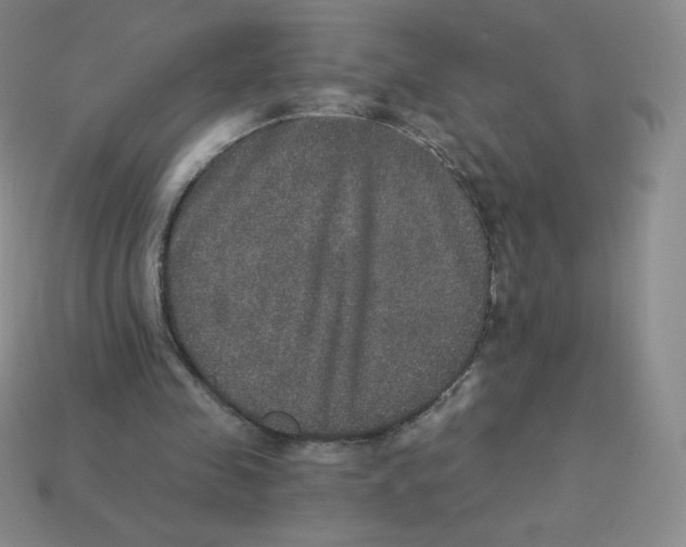 X0000113280341200910131009