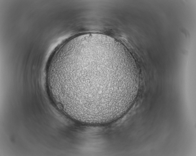 X0000113280342200910131009