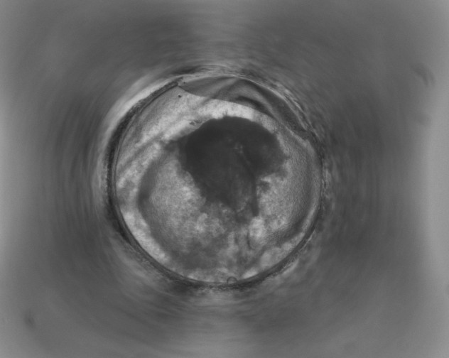 X0000113280343200910131009