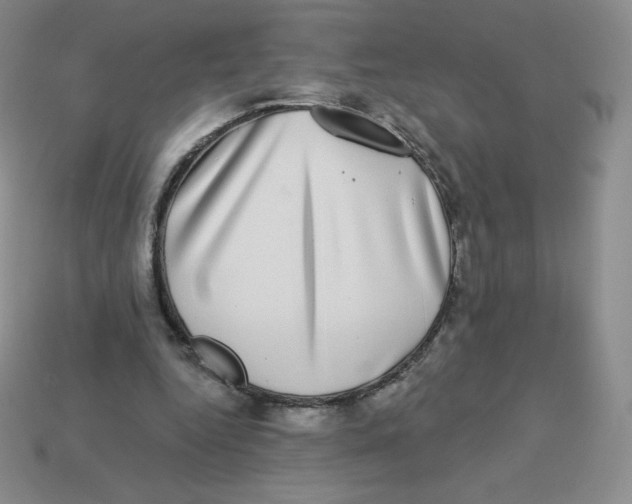 X0000113280344200910131009