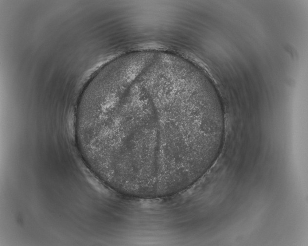 X0000113280345200910131009