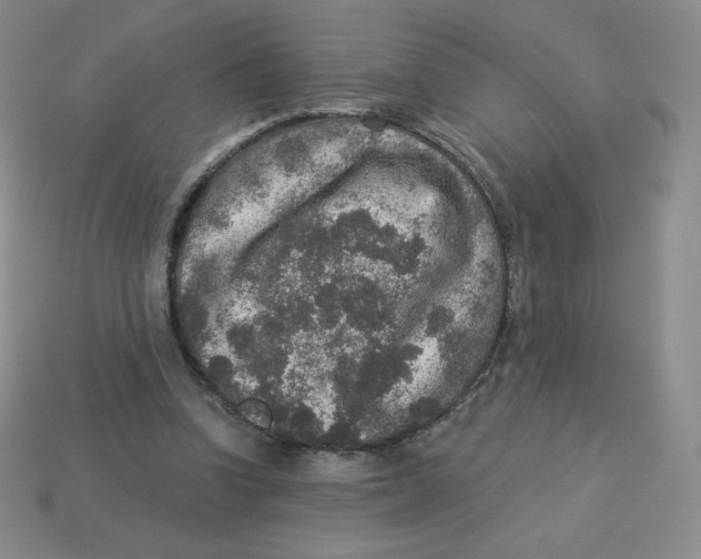 X0000113280346200910131009