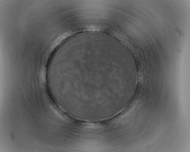 X0000113280347200910131009