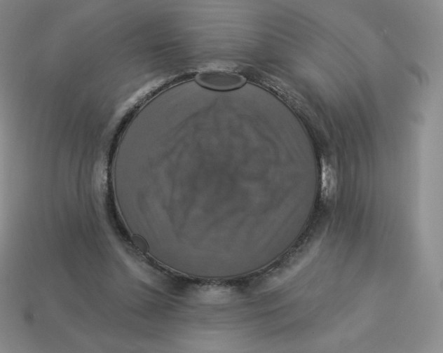 X0000113280348200910131009