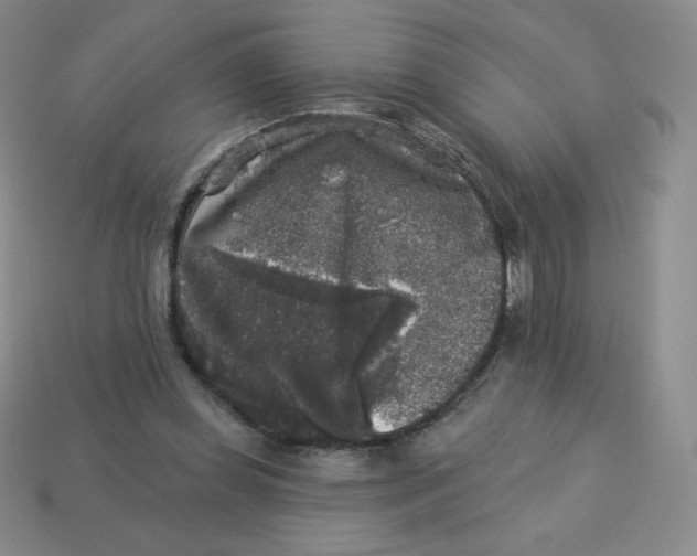 X0000113280349200910131009