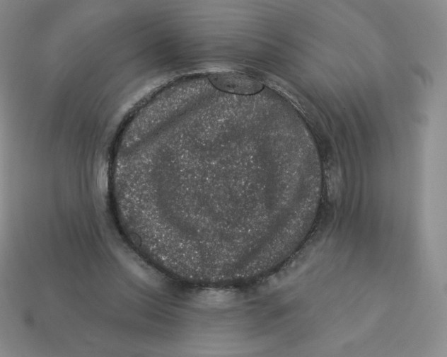 X0000113280350200910131009