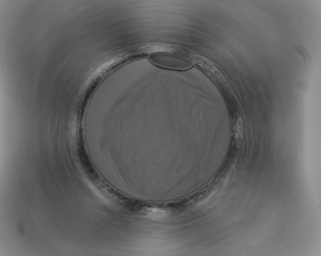 X0000113280352200910131009