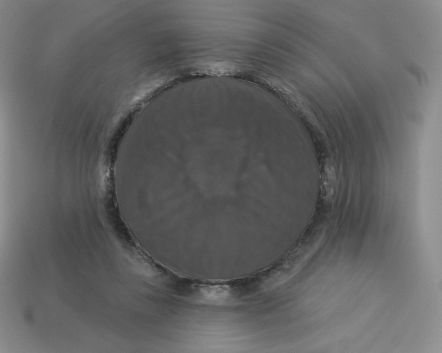 X0000113280355200910131009