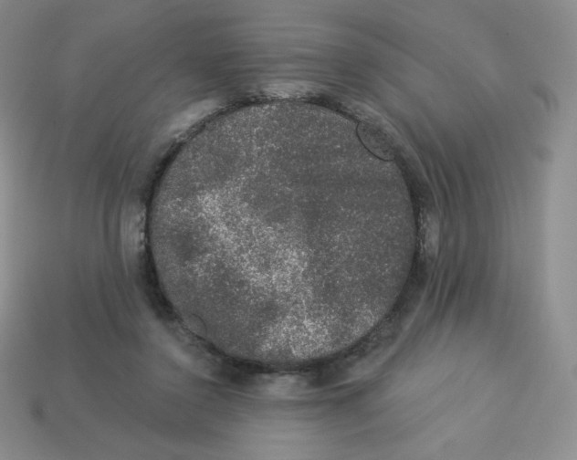 X0000113280356200910131009