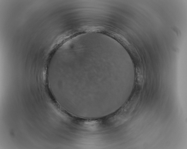 X0000113280357200910131010
