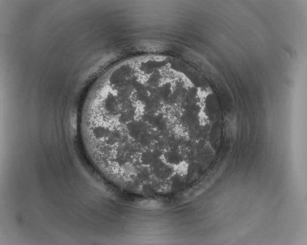 X0000113280358200910131010