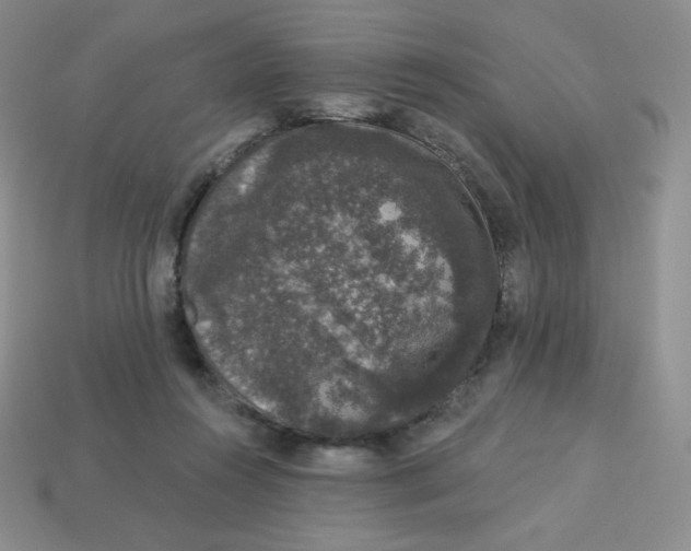 X0000113280360200910131010