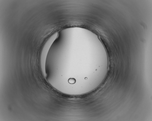 X0000113280362200910131010