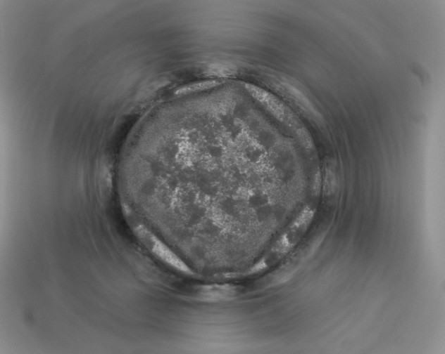 X0000113280363200910131010
