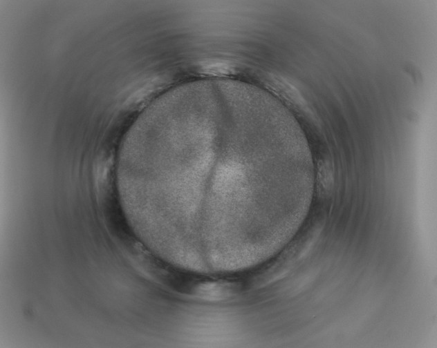 X0000113280364200910131010