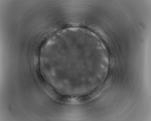 X0000113280365200910131010