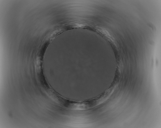 X0000113280366200910131010