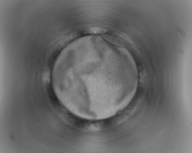 X0000113280368200910131010