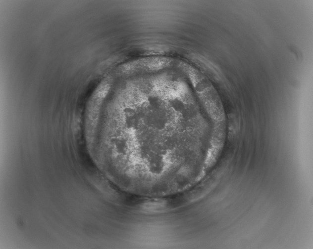 X0000113280369200910131010