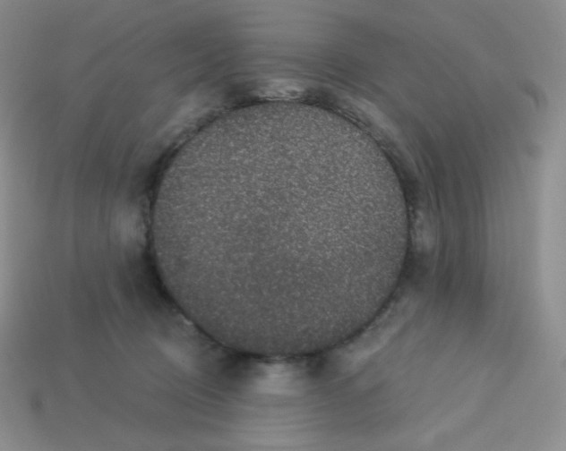 X0000113280370200910131010