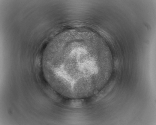 X0000113280373200910131010
