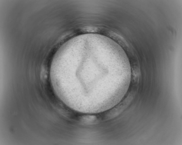 X0000113280374200910131010