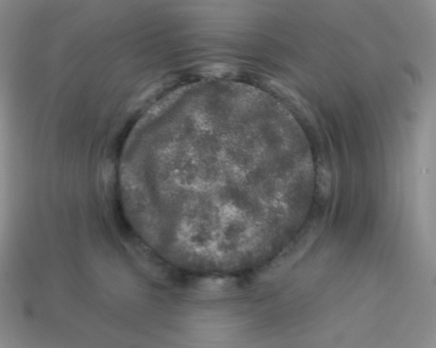 X0000113280375200910131010