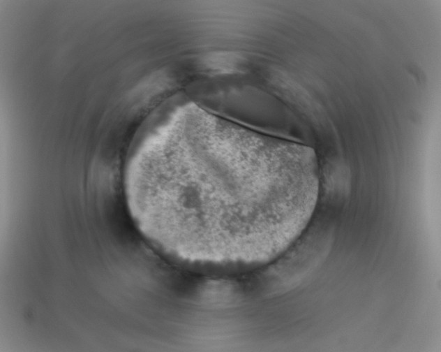 X0000113280376200910131010