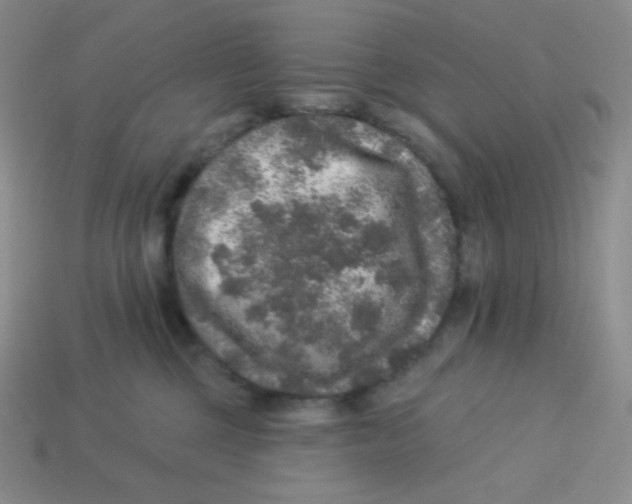 X0000113280377200910131010