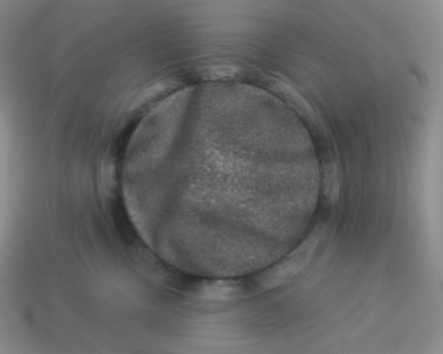 X0000113280378200910131010