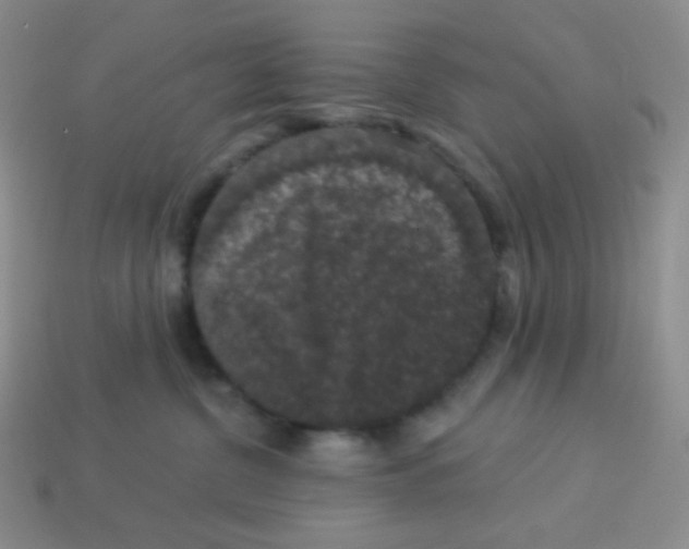 X0000113280380200910131010