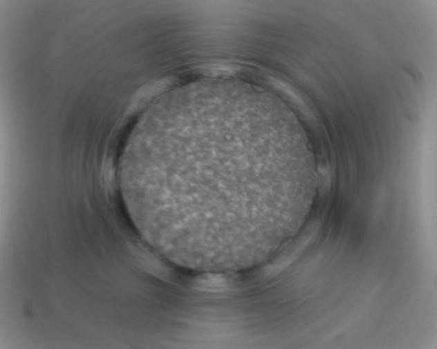 X0000113280381200910131010